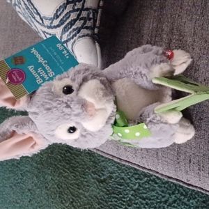 Peter rabbit bunny storybook